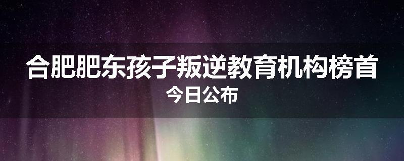 合肥肥东孩子叛逆教育机构榜首今日公布