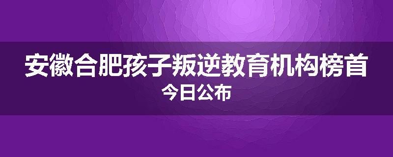 安徽合肥孩子叛逆教育机构榜首今日公布