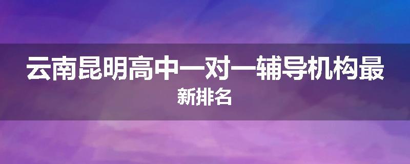 云南昆明高中一对一辅导机构最新排名