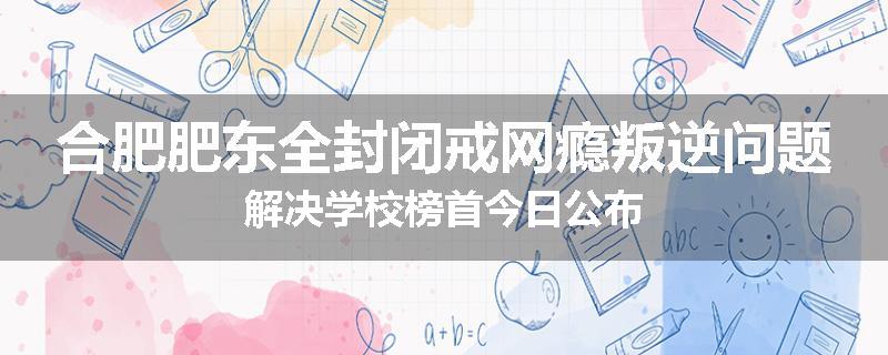合肥肥东全封闭戒网瘾叛逆问题解决学校榜首今日公布