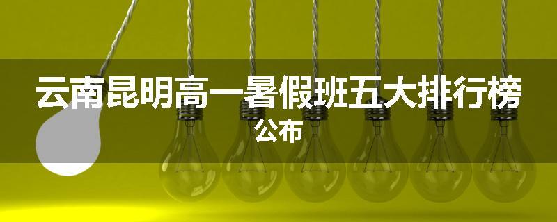 云南昆明高一暑假班五大排行榜公布