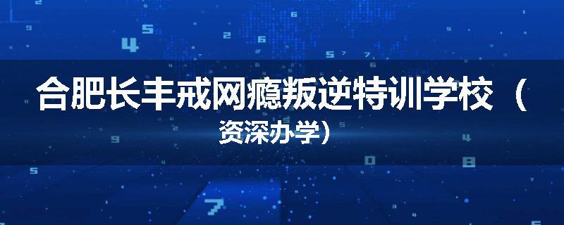 合肥长丰戒网瘾叛逆特训学校（资深办学）