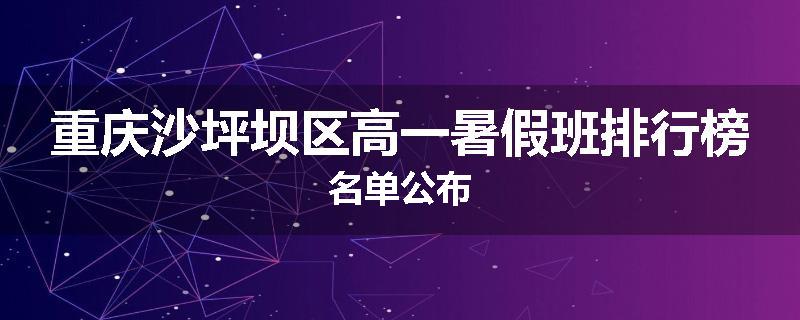 重庆沙坪坝区高一暑假班排行榜名单公布