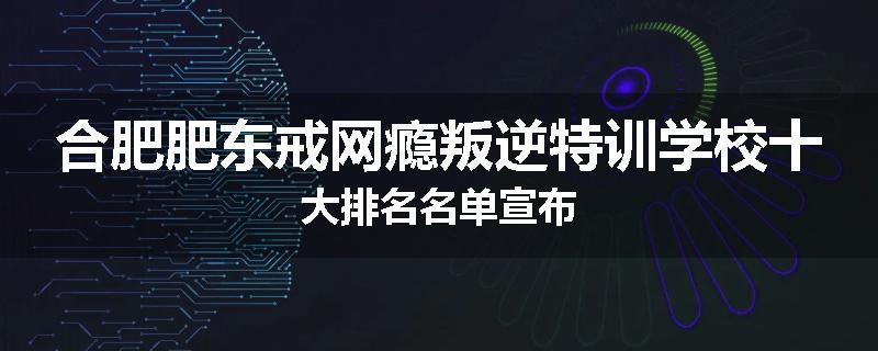 合肥肥东戒网瘾叛逆特训学校十大排名名单宣布