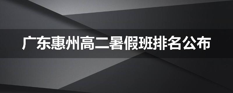 广东惠州高二暑假班排名公布