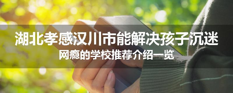 湖北孝感汉川市能解决孩子沉迷网瘾的学校推荐介绍一览