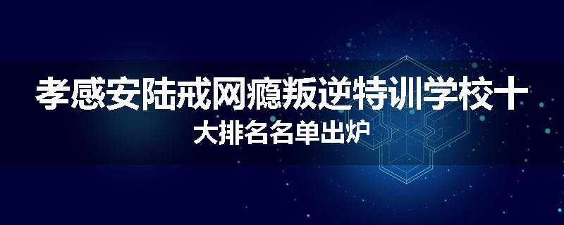 孝感安陆戒网瘾叛逆特训学校十大排名名单出炉