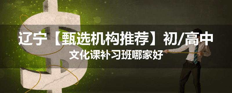 辽宁【甄选机构推荐】初/高中文化课补习班哪家好
