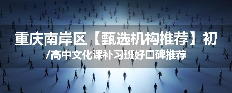 重庆南岸区【甄选机构推荐】初/高中文化课补习班好口碑推荐