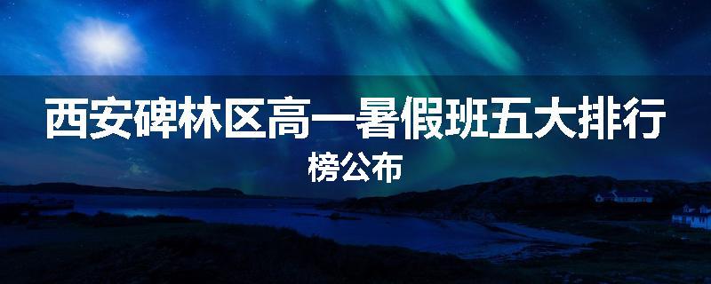 西安碑林区高一暑假班五大排行榜公布