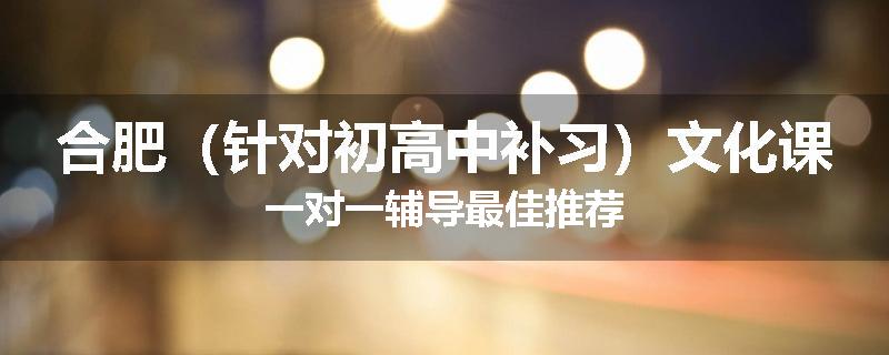 合肥（针对初高中补习）文化课一对一辅导最佳推荐