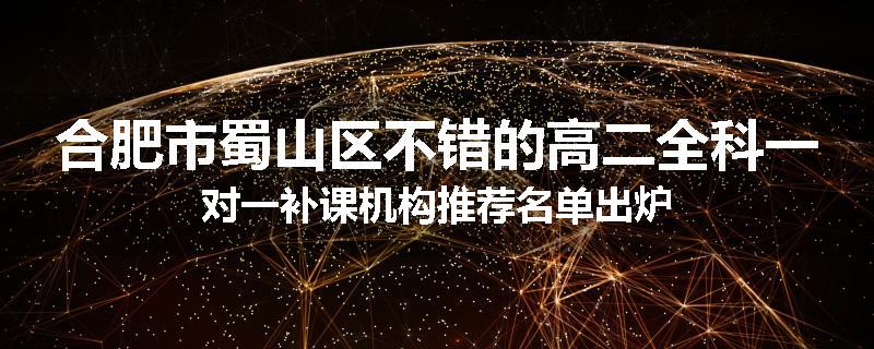 合肥市蜀山区不错的高二全科一对一补课机构推荐名单出炉