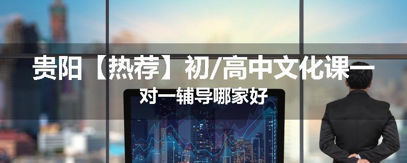 贵阳【热荐】初/高中文化课一对一辅导哪家好