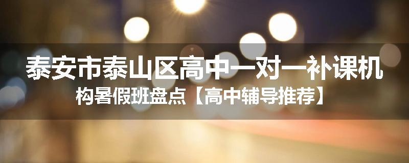 泰安市泰山区高中一对一补课机构暑假班盘点【高中辅导推荐】