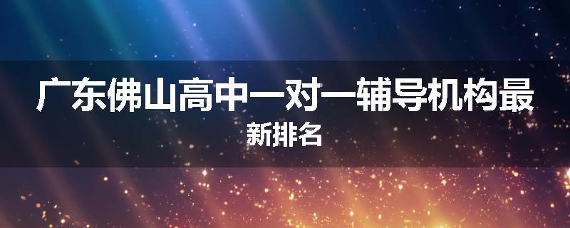 广东佛山高中一对一辅导机构最新排名