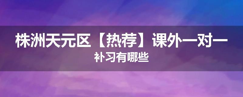 株洲天元区【热荐】课外一对一补习有哪些
