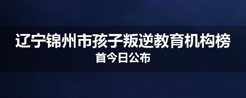 辽宁锦州市孩子叛逆教育机构榜首今日公布
