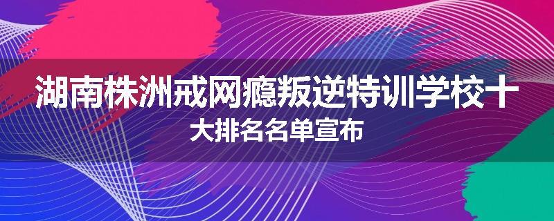 湖南株洲戒网瘾叛逆特训学校十大排名名单宣布