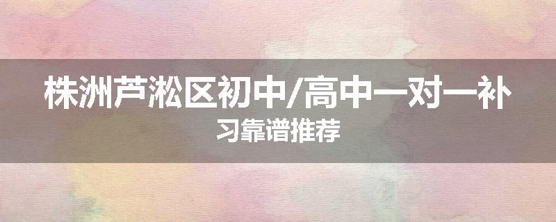 株洲芦淞区初中/高中一对一补习靠谱推荐