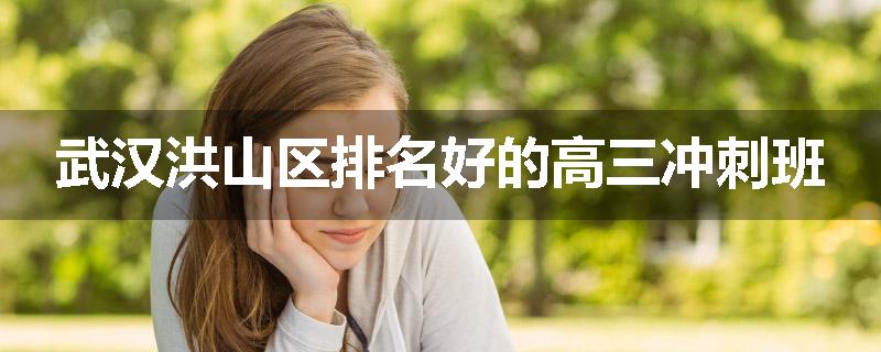 武汉洪山区排名好的高三冲刺班