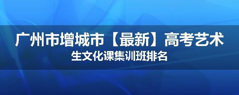 广州市增城市【最新】高考艺术生文化课集训班排名