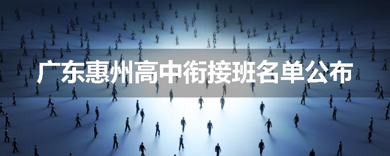 广东惠州高中衔接班名单公布