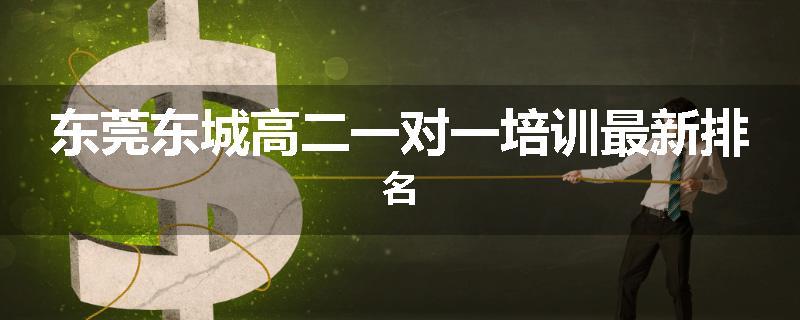 东莞东城高二一对一培训最新排名
