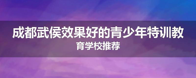 成都武侯效果好的青少年特训教育学校推荐