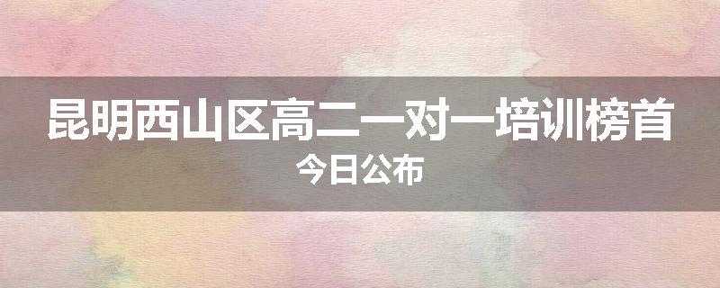 昆明西山区高二一对一培训榜首今日公布