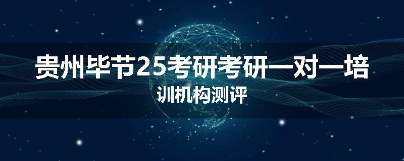贵州毕节25考研考研一对一培训机构测评