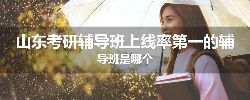 山东考研辅导班上线率第一的辅导班是哪个