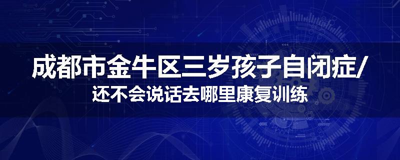 成都市金牛区三岁孩子自闭症/还不会说话去哪里康复训练