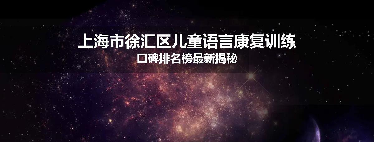 上海市徐汇区儿童语言康复训练口碑排名榜最新揭秘