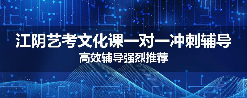 江阴艺考文化课一对一冲刺辅导高效辅导强烈推荐