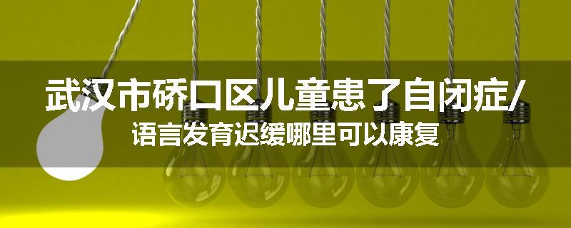武汉市硚口区儿童患了自闭症/语言发育迟缓哪里可以康复