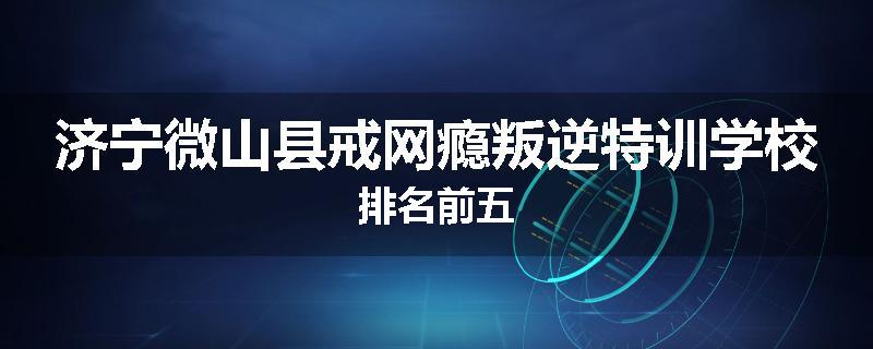 济宁微山县戒网瘾叛逆特训学校排名前五