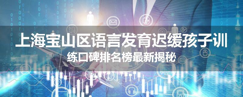 上海宝山区语言发育迟缓孩子训练口碑排名榜最新揭秘