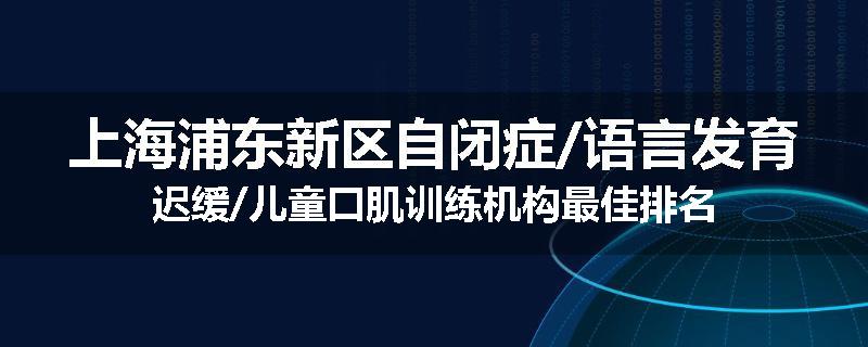 上海浦东新区自闭症/语言发育迟缓/儿童口肌训练机构最佳排名
