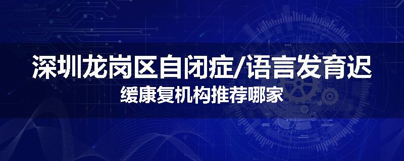 深圳龙岗区自闭症/语言发育迟缓康复机构推荐哪家