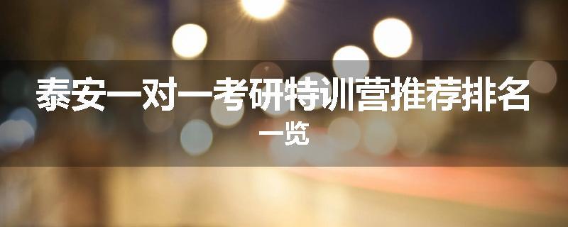 泰安一对一考研特训营推荐排名一览