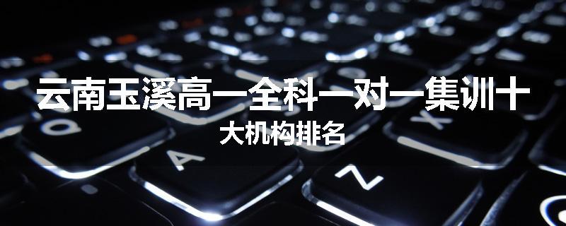 云南玉溪高一全科一对一集训十大机构排名