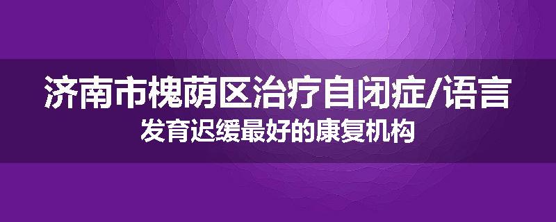 济南市槐荫区治疗自闭症/语言发育迟缓最好的康复机构
