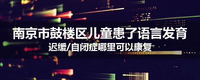 南京市鼓楼区儿童患了语言发育迟缓/自闭症哪里可以康复