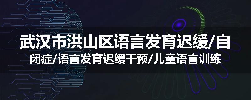 武汉市洪山区语言发育迟缓/自闭症/语言发育迟缓干预/儿童语言训练机构