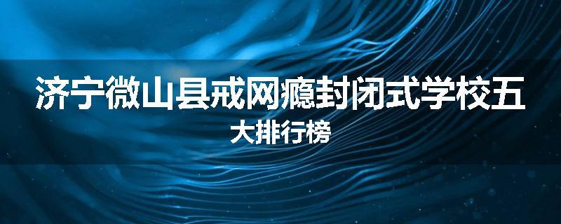 济宁微山县戒网瘾封闭式学校五大排行榜