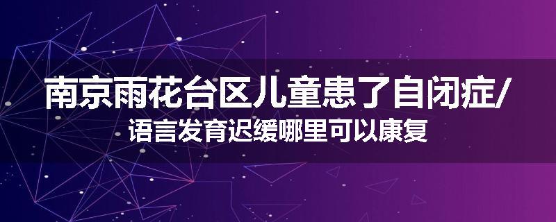 南京雨花台区儿童患了自闭症/语言发育迟缓哪里可以康复