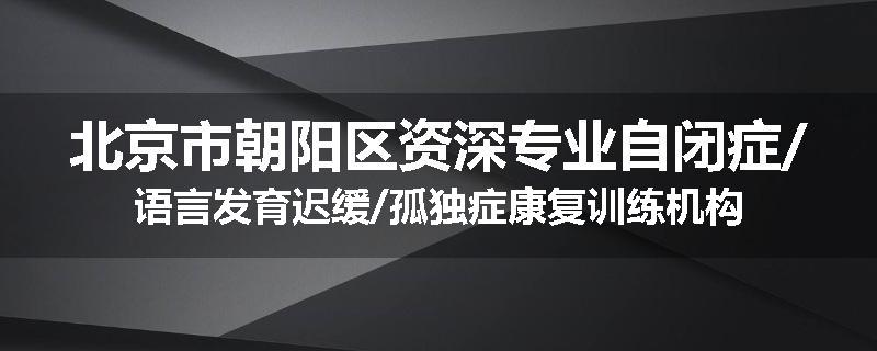 北京市朝阳区资深专业自闭症/语言发育迟缓/孤独症康复训练机构