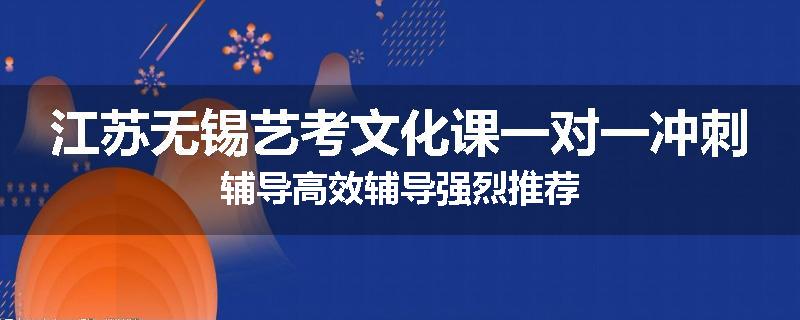 江苏无锡艺考文化课一对一冲刺辅导高效辅导强烈推荐