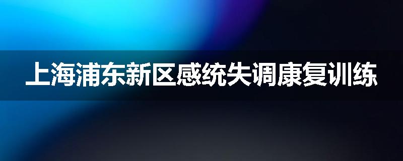 上海浦东新区感统失调康复训练