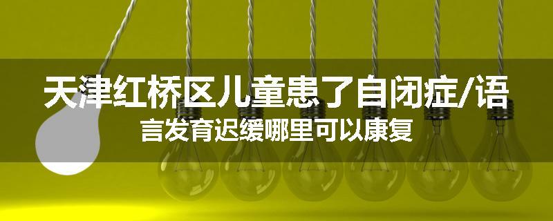 天津红桥区儿童患了自闭症/语言发育迟缓哪里可以康复